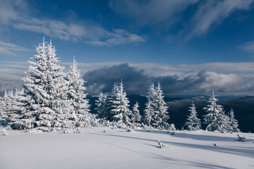 Beautiful winter nature landscape, amazing mountain view. Scenic image of woodland. Frosty day on ski resort. Location Carpathian, Ukraine. Superb winter wallpapers. Explore the beauty of earth