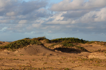 Sand hill