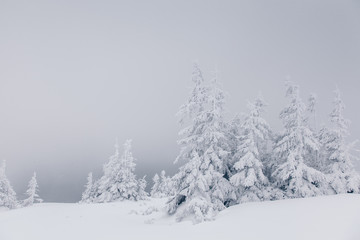 Beautiful winter nature landscape, amazing mountain view. Scenic image of woodland. Frosty day on ski resort. Location Carpathian, Ukraine. Superb winter wallpapers. Explore the beauty of earth