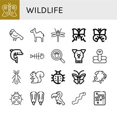 Set of wildlife icons