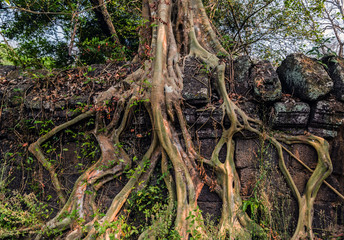 Angkor Wat Landscape of Koh Ker Cambodia