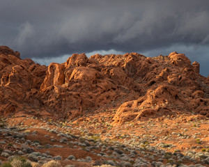 red rocks in the desert