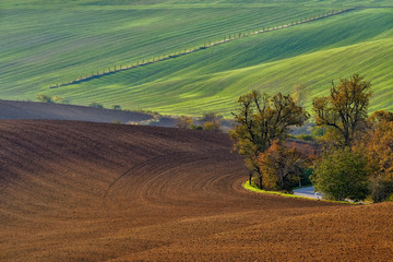 Fototapeta premium Moravian fields, Moravia, Czech Republic, around the village Kyjov