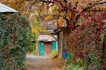 Autumn in the old courtyards