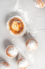 Freshly baked homemade muffins in icing sugar on a grey background, top view, flat lay. Tasty sweet breakfast, homemade cakes.