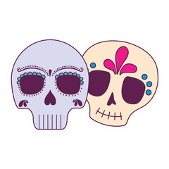 Isolated mexican skulls vector design