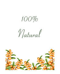 Watercolor illustration of sea buckthorn frame. .Vitamins. Berries. Natural cosmetic.
