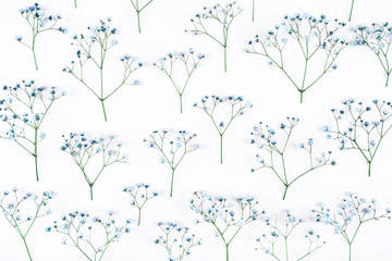 Beautiful flower background of blue gypsophila flowers. Flat lay, top view. Floral pattern.