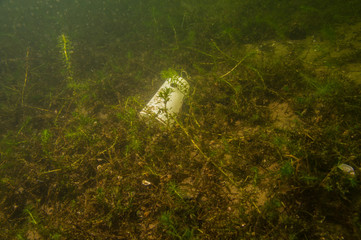 ausgedient - Plastikbecher