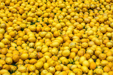 background of yellow lemons