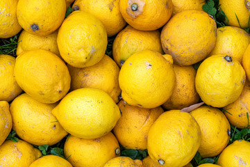 lemons in the market
