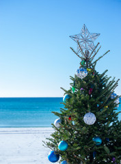 beach Christmas tree blue sky and water