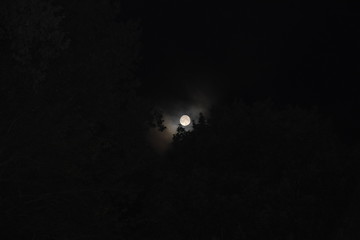 Moonlight 3