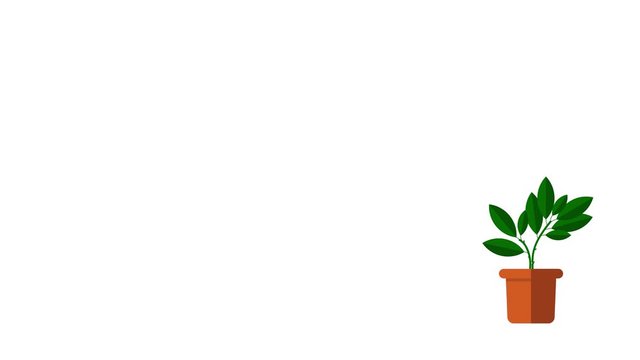 Animation of a green plant growth in a pot on a white background