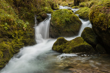 Les gorges du Bruyant