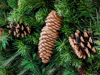 Close up shot of pine cones decorating a festive, holiday wreath for the Christmas season