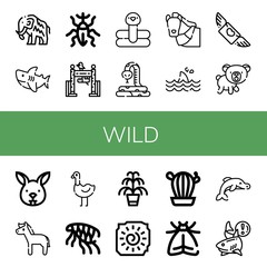 Set of wild icons