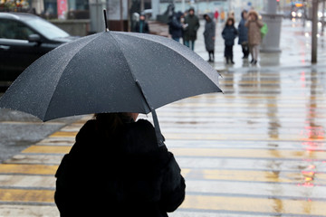 Rain in a winter city, woman with black umbrella standing on a street before the pedestrian...