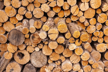 Dry oak firewood stacked in a pile, not chopped whole wood for winter heating fireplace. Natural wood background.