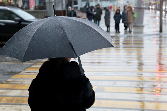 Rain in a winter city, woman with black umbrella standing on a street before the pedestrian crossing. Rainy weather, wet roads