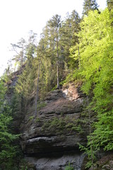 Fototapeta premium Walk along the mountain forest river