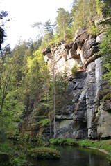 Walk along the mountain forest river