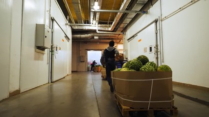 employee pulls cart with watermelons along warehouse