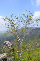 The ascent to Pravcicka bran