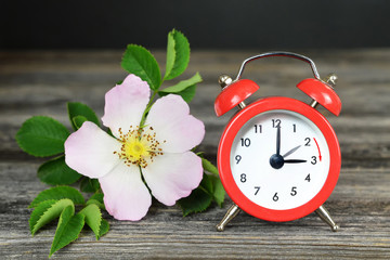Spring forward. Summer time change. Daylight saving time.