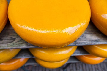 Rows of cheese pieces on wooden shelves. Different kinds of cheeses on shelves. Whole pieces of cheese ripen in cellar. Cheese storage. Top view, close up