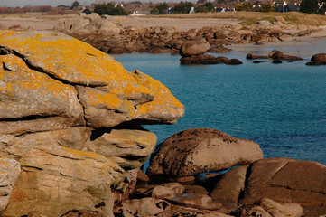 rochers à marée basse
