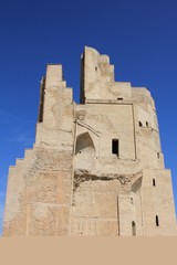 シャフリサーブスのアク・サライ宮殿跡