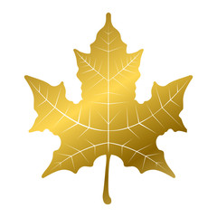 Golden maple leaf