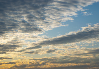 Obraz premium Rows of flattened small clouds float slowly across the sky, illuminated by the yellow rays of the setting sun