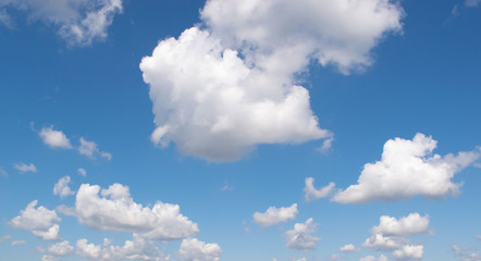 Naklejka na ściany i meble Beautiful white cumulus clouds slowly floating against a clear blue sky