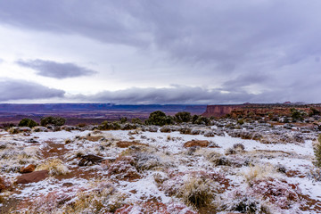 Early Winter