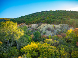 Colors of autumn