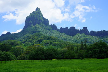 Green landscape view on the island of Moorea near Tahiti in French Polynesia, South Pacific