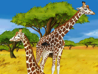 cartoon safari scene with giraffes family eating on the meadow - illustration for children