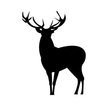 silhouette of deer isolated on white background