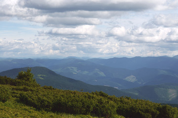 Beautiful mountain landscape, with mountain peaks covered with forest and cloudy sky.Ukrainian Carpathian Mountains