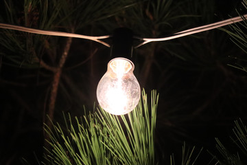 Low light photo of a lightbulb