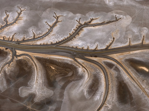Tree of the ebb. The aerial shot was taken in Australia from a Cessna plane