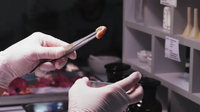 assistant touches test slide with chicken meat closeup