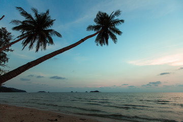 Tropical beach with palm tree at amazing dusk.