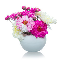 Pink and white chrysanthemum flowers in vase on isolated white background.Floral object.clipping path