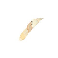 Watercolor illustration of pastry isolated on white. Bread illustration for organic farm business. Gluten-free 