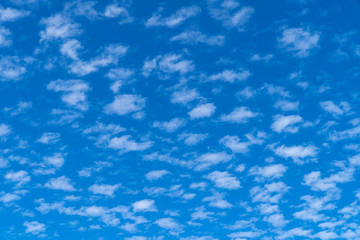 Blue sky with clouds Altocumulus that look like a flock of sheep
