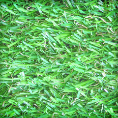 artificial green grass background