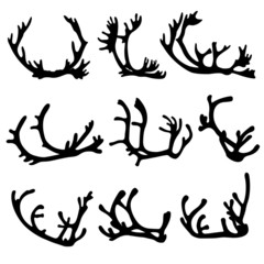 Set of reindeer antlers. Vector Illustration 
